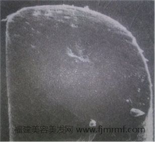 &#31859;&#20848;&#22312;&#32447;&#27880;&#20876;&#45;&#31859;&#20848;&#65288;&#20013;&#22269;&#65289;