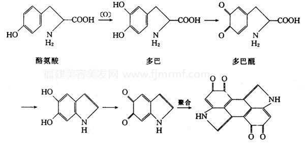 &#31859;&#20848;&#22312;&#32447;&#27880;&#20876;&#45;&#31859;&#20848;&#65288;&#20013;&#22269;&#65289;