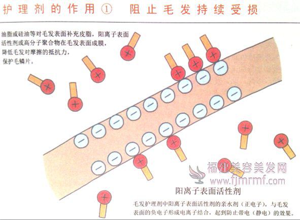 护理剂的作用-阻止毛发(fā)持续受损 护理剂的作用-阻止毛发持续受(shòu)损